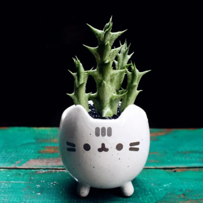 Cute Cat Succulent Pot with Drainage Hole, Small Ceramic Flower Planter, Animal Desktop Flowerpot for Home, Office, Garden, Bonsai & Gift Decor
