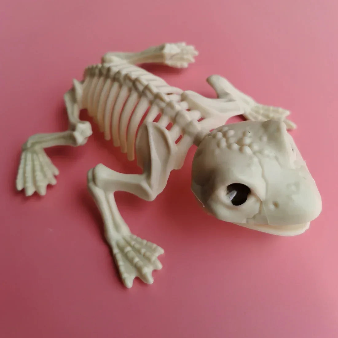 Halloween Animal Skeleton Bones Horror Piranha Fish Gecko Frog Ornaments Lizard Creepy Decoration Props Party for Kids Gift